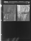 Swimming (4 Negatives) September - December, 1955 [Sleeve 68, Folder b, Box 8]